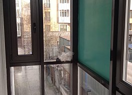 Окна Петербурга - фото №11
