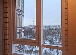 Окна Петербурга - фото №7