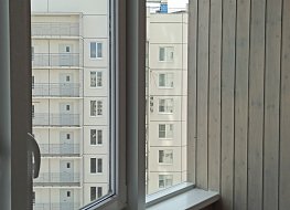 Окна Петербурга - фото №6