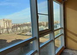 Окна Петербурга - фото №12